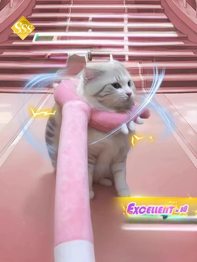 Cat Battle Wand Toy, Interactive Teaser Stick, Durable Bite & Scratch Resistant Play Wand,  Birthday/Christmas Gift for Pet Lover/Cats Owner